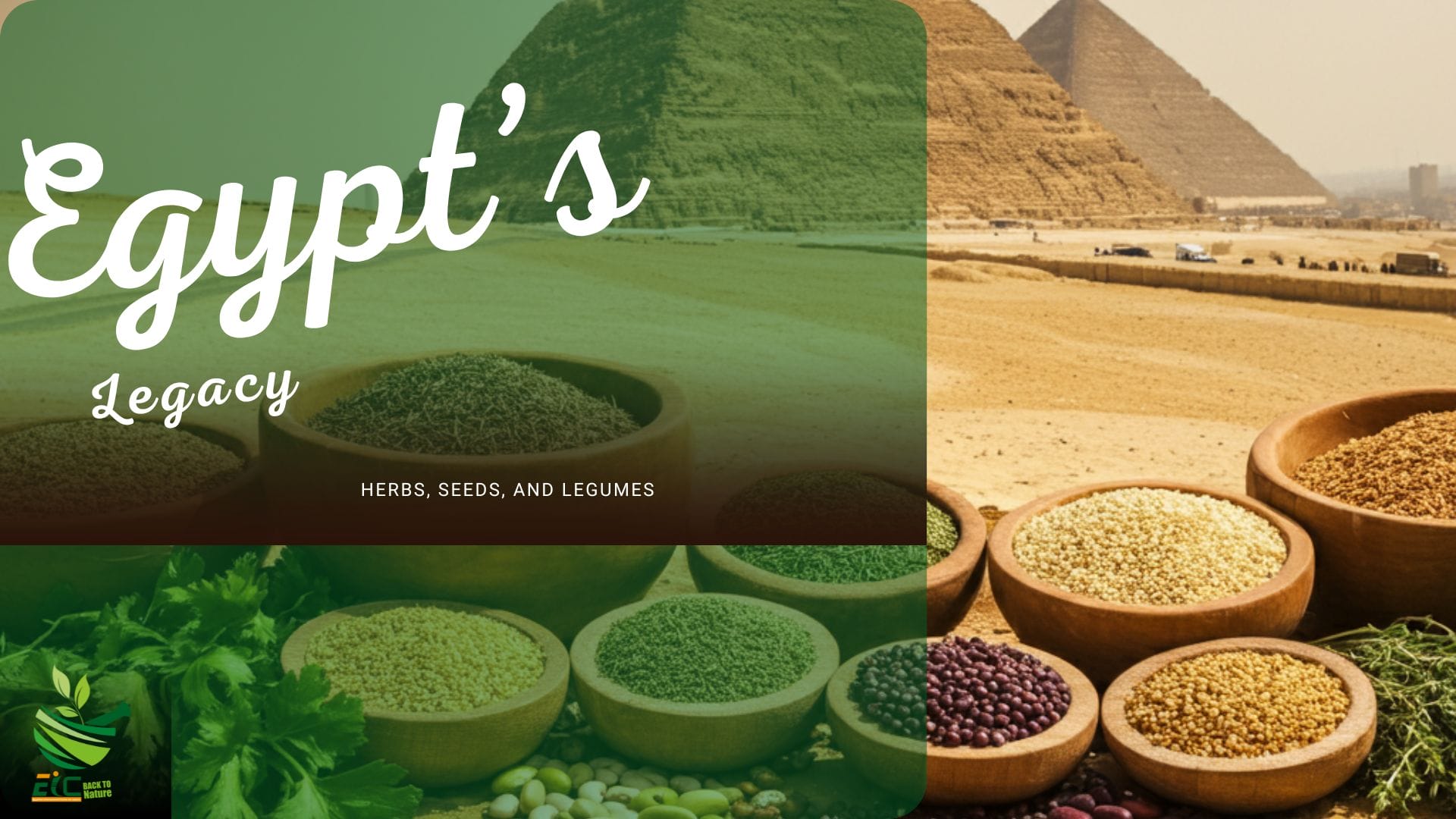 Egyptian Herbs and Spices
